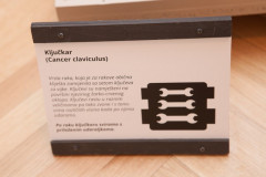 DKOS_SLUK-25_prvi-dan_049