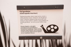 DKOS_SLUK-25_prvi-dan_051