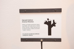 DKOS_SLUK-25_prvi-dan_052